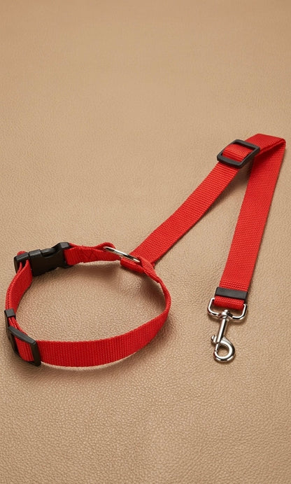 Attache de sécurité ajustable