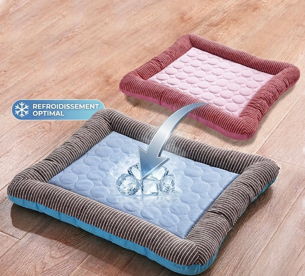 Coussin rafraîchissent chien et chat