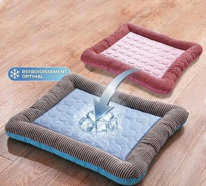 Coussin rafraîchissent chien et chat