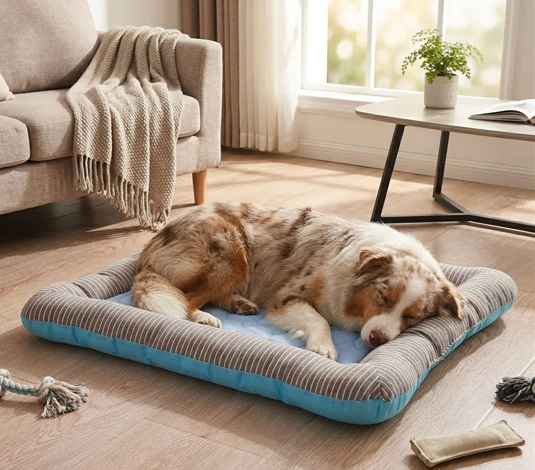 Coussin rafraîchissent chien et chat