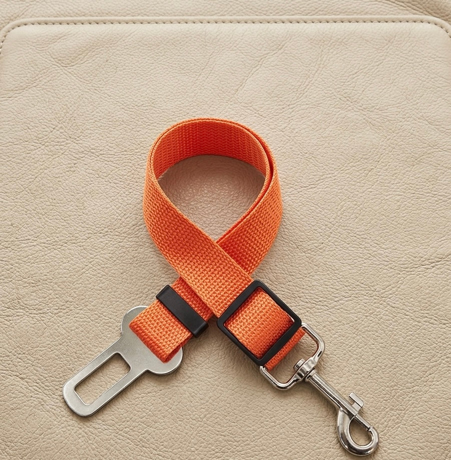 Ceinture de sécurité ajustable